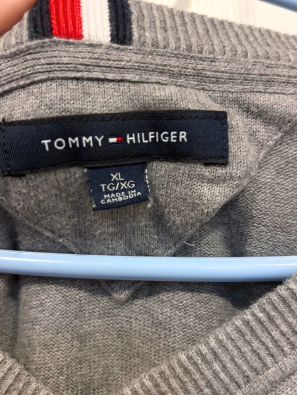 Tommy Hilfiger men tommy